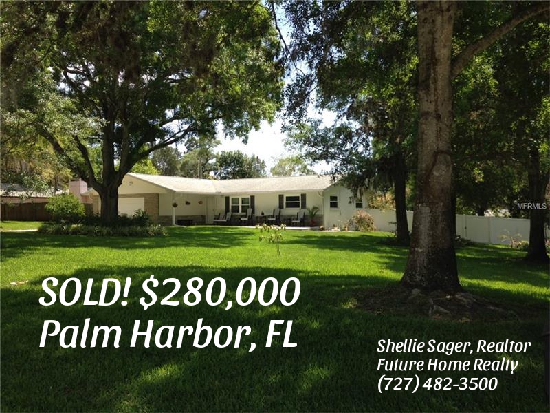 Homes Sold in Palm Harbor